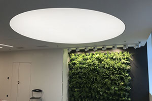 Световая панель Clipso в офисе Яндекса 
